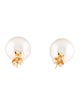Earrings 14K Pearl Stud Earrings