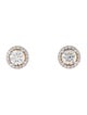 Earrings 14K 2.80ctw Lab-Grown Diamond Halo Stud Earrings