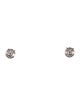 Earrings 14K 2.00ctw Lab-Grown Diamond Stud Earrings