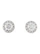 Earrings Platinum 2.84ctw Lab-Grown Diamond Stud Earrings