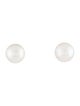 Earrings 14K Pearl Stud Earrings