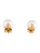 Earrings 14K Pearl Stud Earrings