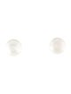 Earrings Platinum Pearl Stud Earrings