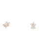 Earrings 14K Turtle Stud Earrings
