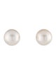 Earrings 14K Pearl Stud Earrings