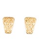 Earrings 14K Earclip Earrings