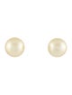 Earrings 14K Pearl Stud Earrings