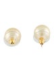 Earrings 14K Pearl Stud Earrings