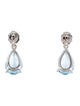 Earrings 18K 6.46ctw & Diamond Drop Earrings