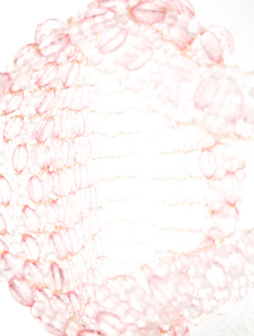 Emm Kuo Acrylic Evening Bag