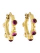 Elizabeth Locke 19K Tourmaline Hoop Earrings