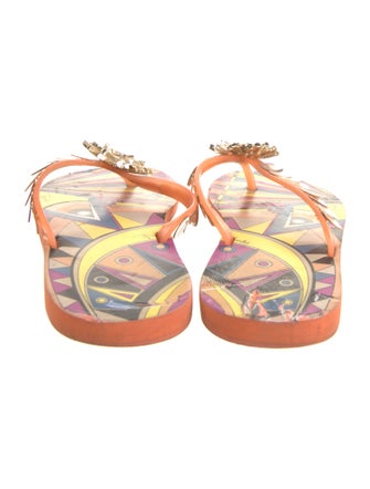 Emilio Pucci Rubber Printed Slides