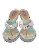 Emilio Pucci Canvas Floral Print Flip Flops