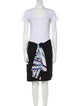 Emilio Pucci Printed Skirt Set
