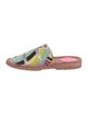 Emilio Pucci Printed Espadrilles