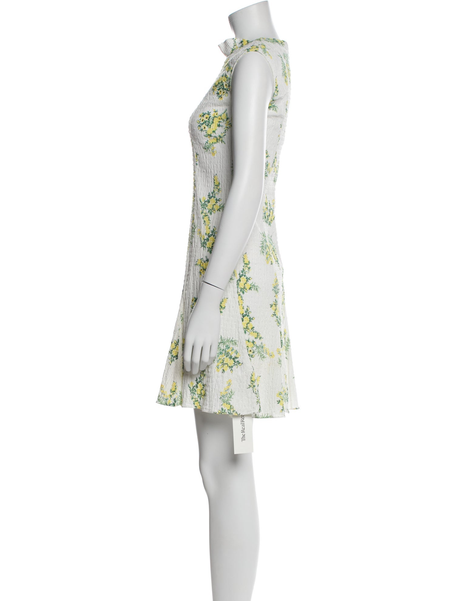 Emilia Wickstead Floral Print Mini Dress