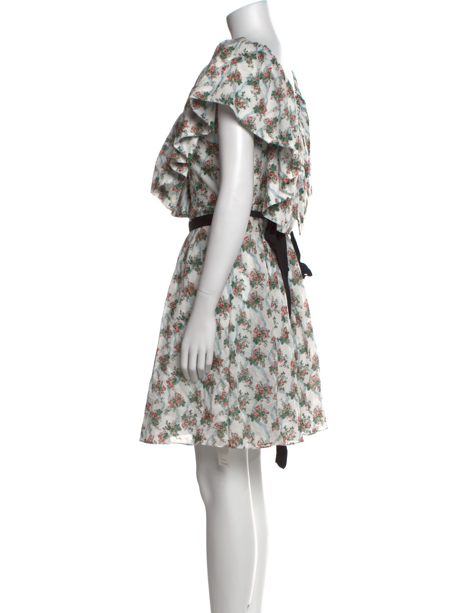 Emilia Wickstead Floral Print Mini Dress