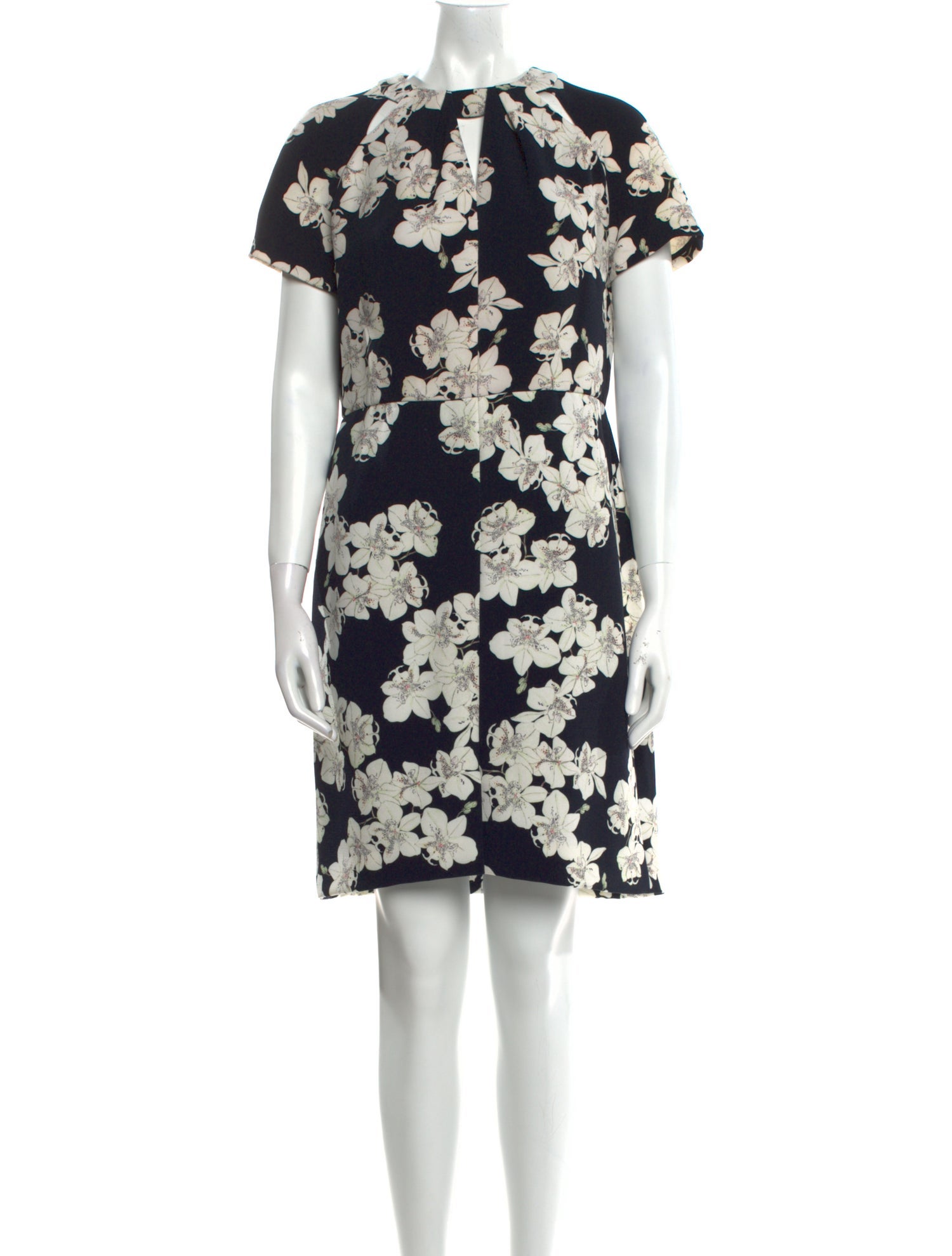 Erdem Floral Print Mini Dress