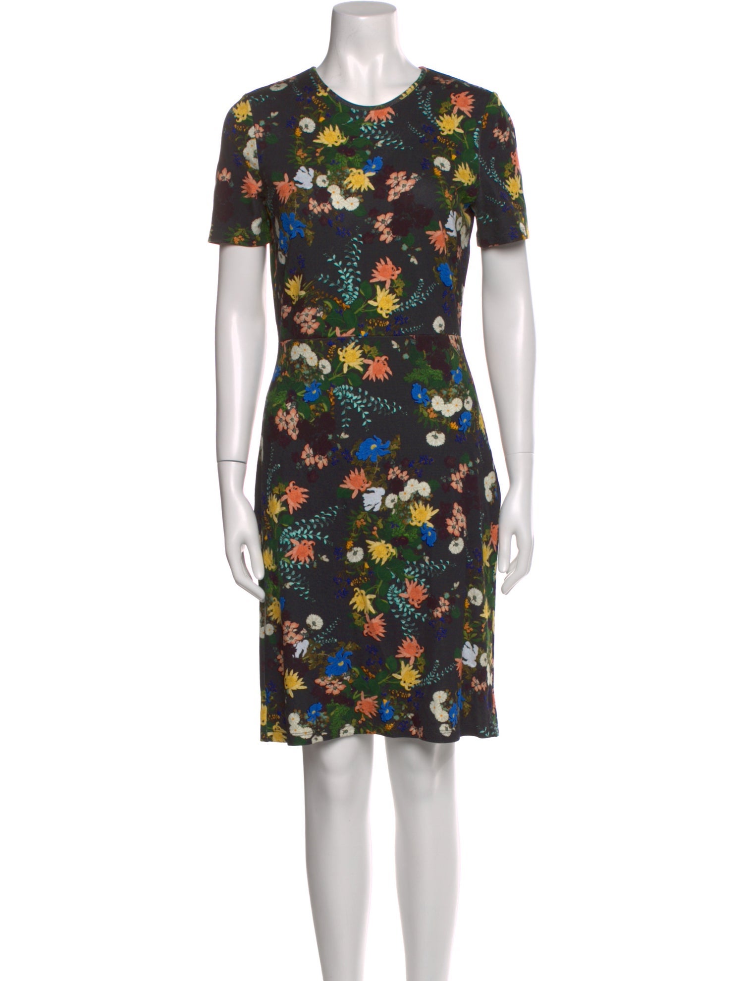 Erdem Floral Print Mini Dress