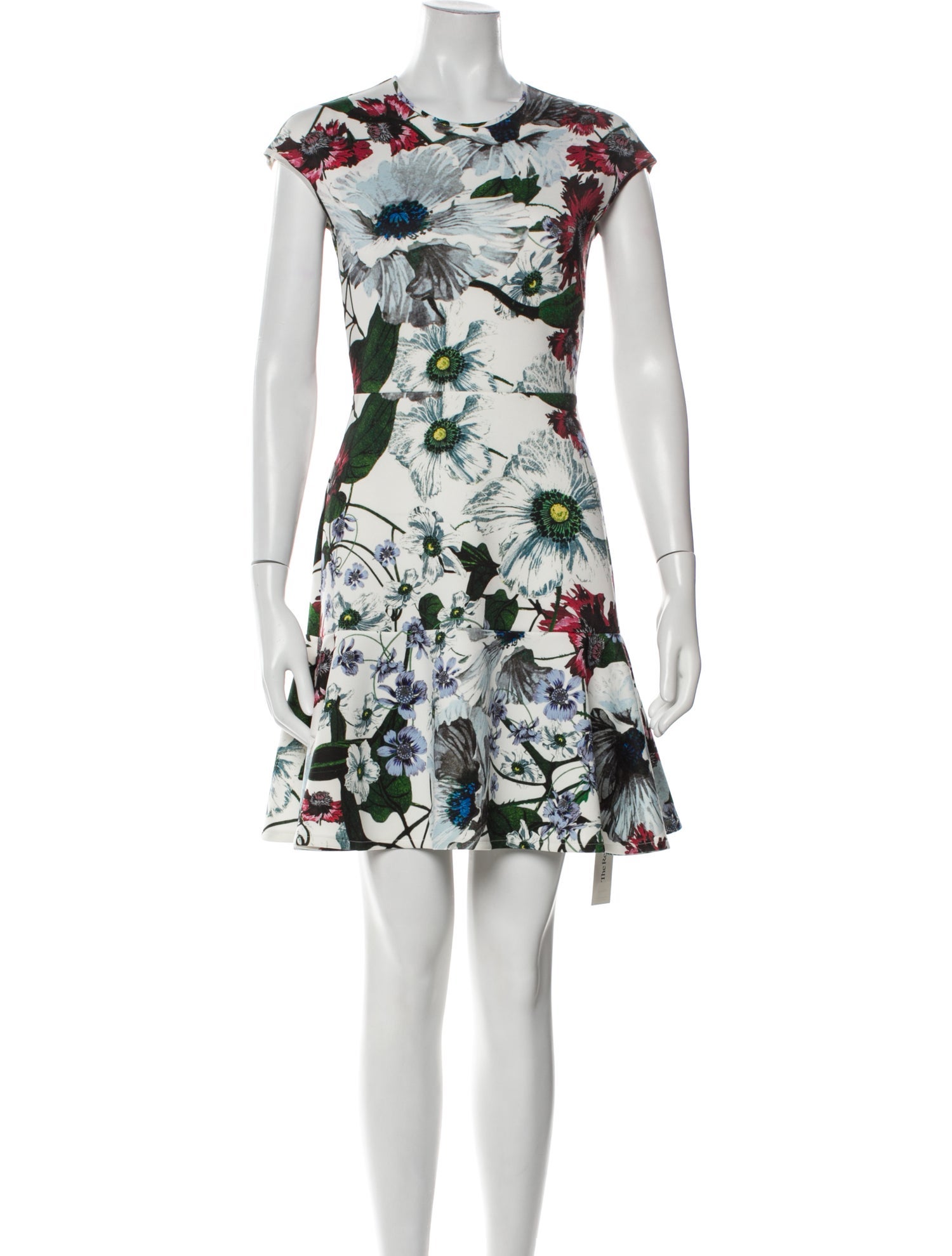 Erdem Floral Print Mini Dress