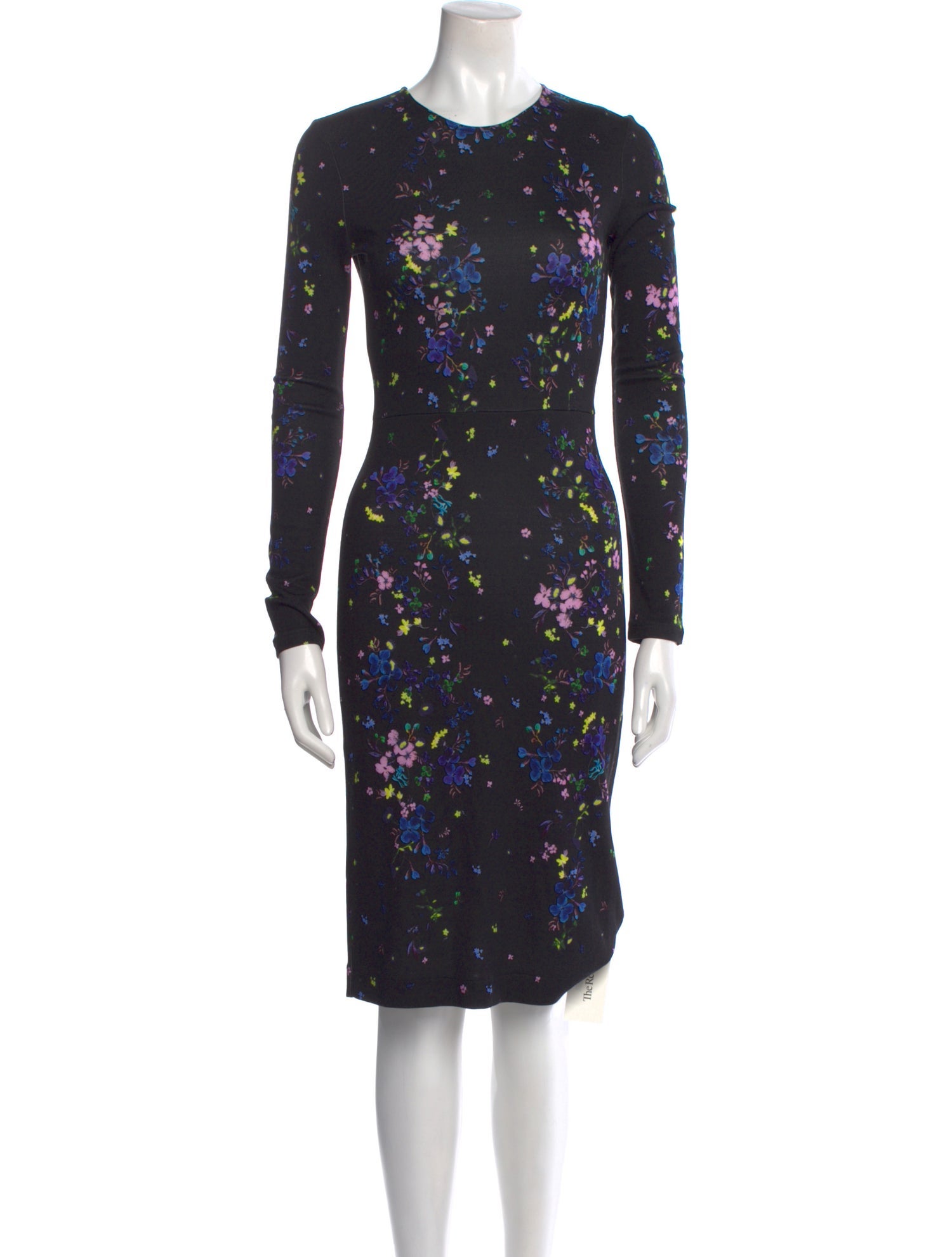 Erdem Floral Print Knee-Length Dress