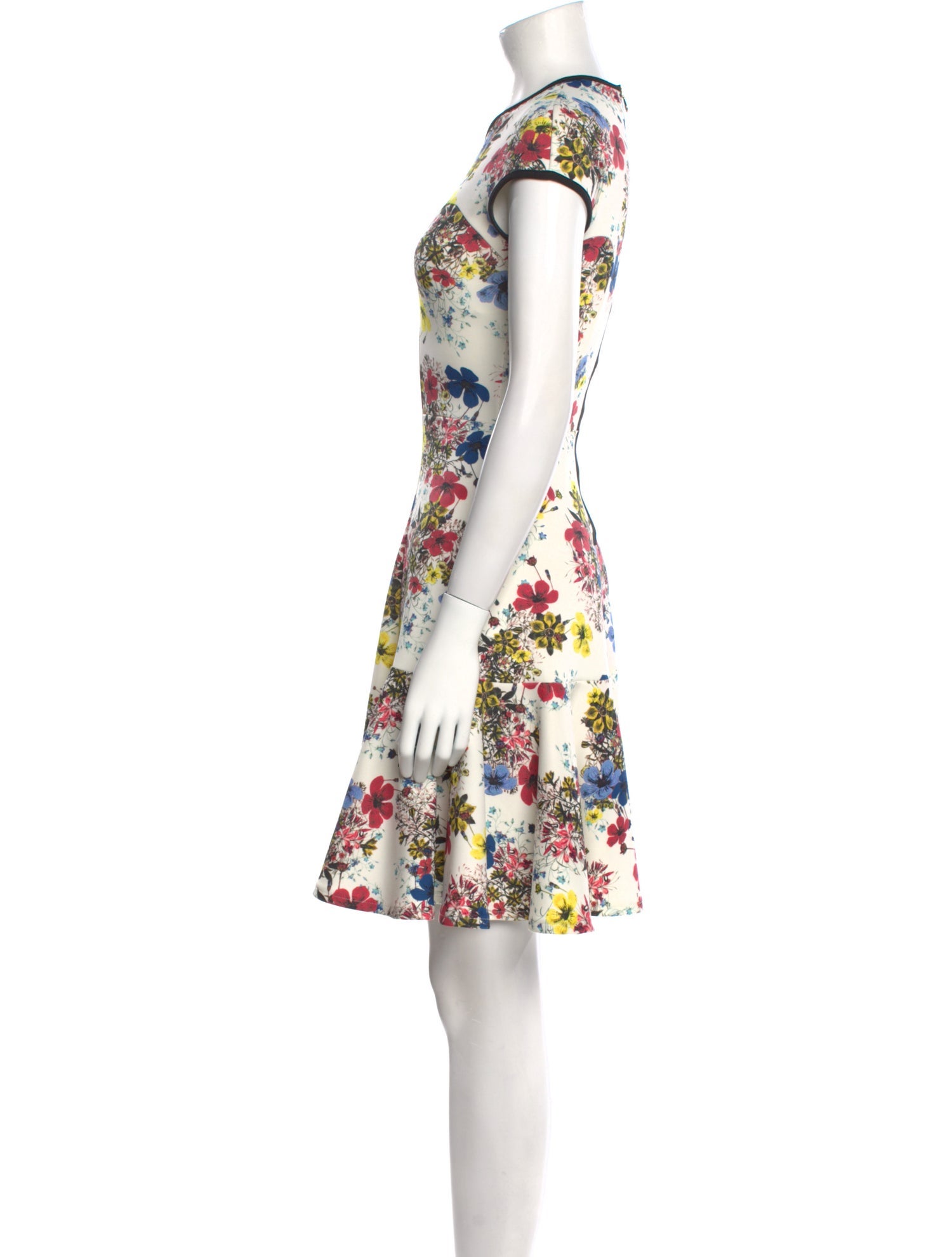 Erdem Floral Print Knee-Length Dress