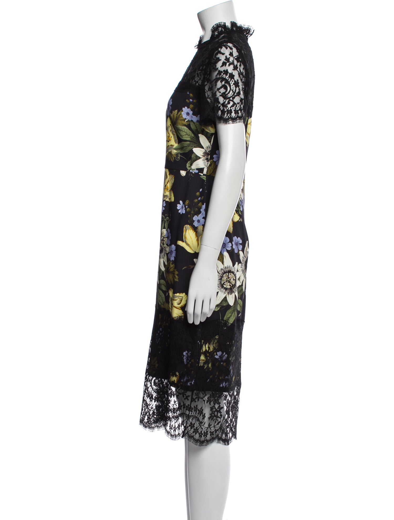 Erdem Floral Print Midi Length Dress