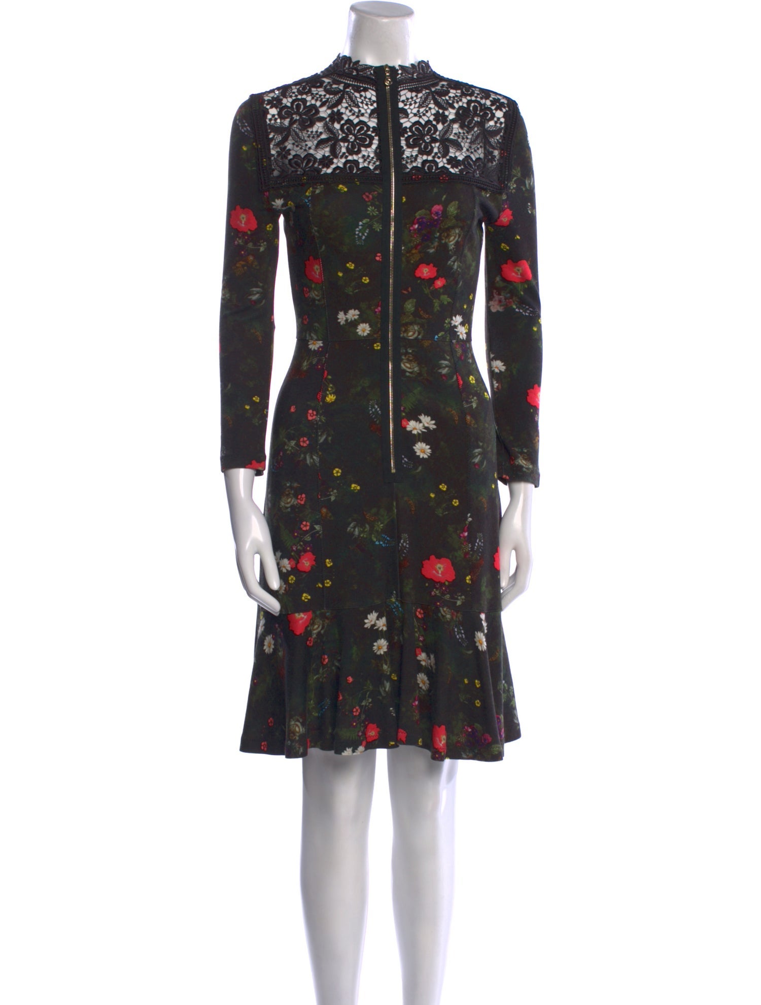 Erdem Floral Print Knee-Length Dress
