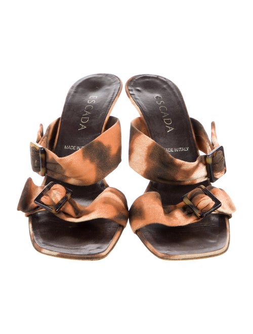 Escada Canvas Printed Slides