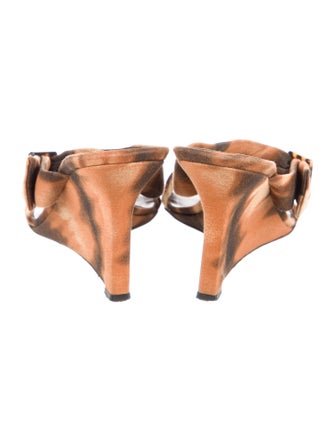 Escada Canvas Printed Slides