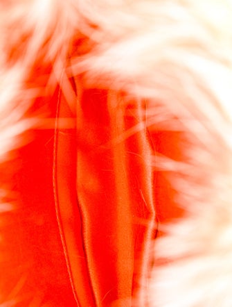 Escada Fur Crossbody Bag