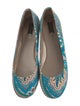 Etro Canvas Printed Ballet Flats