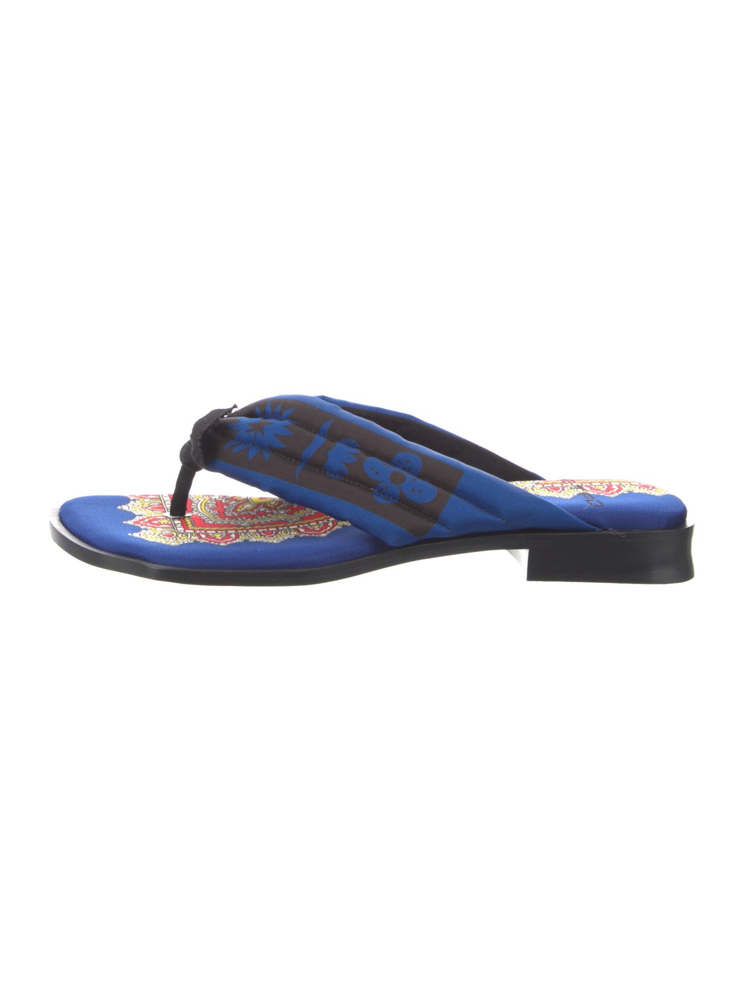 Etro Nylon Printed Flip Flops