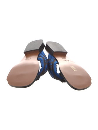 Etro Nylon Printed Flip Flops