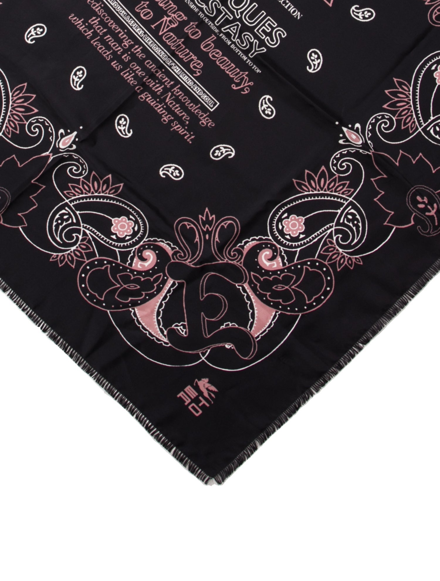 Etro Silk Printed Scarf