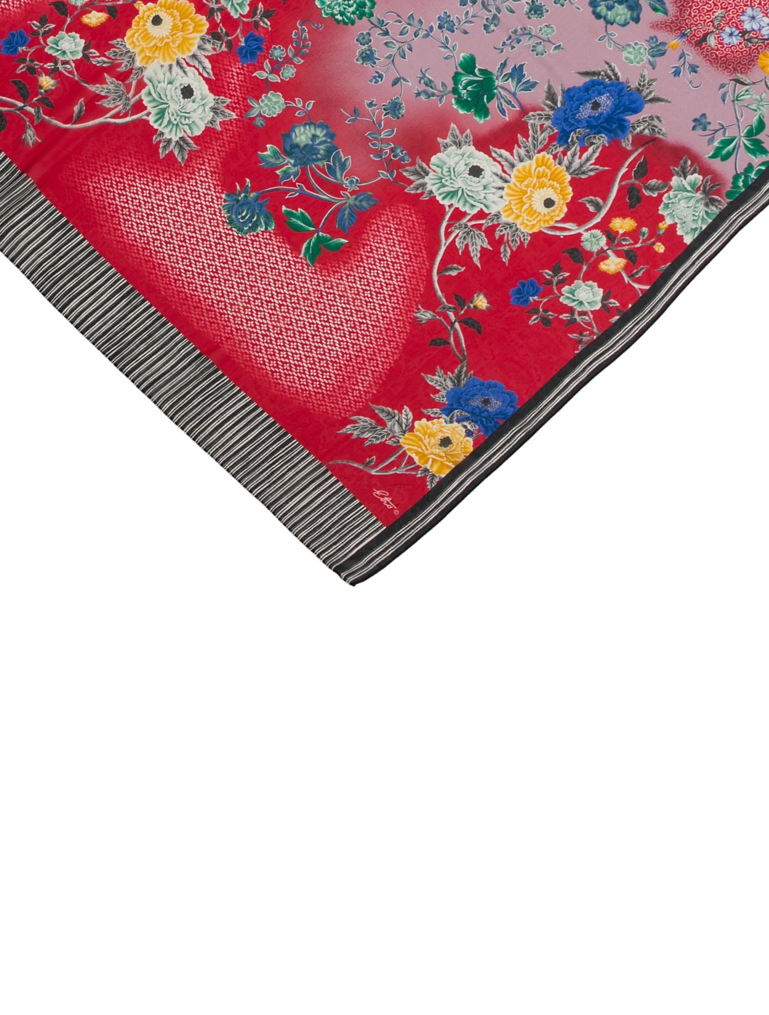 Etro Floral Print Scarf