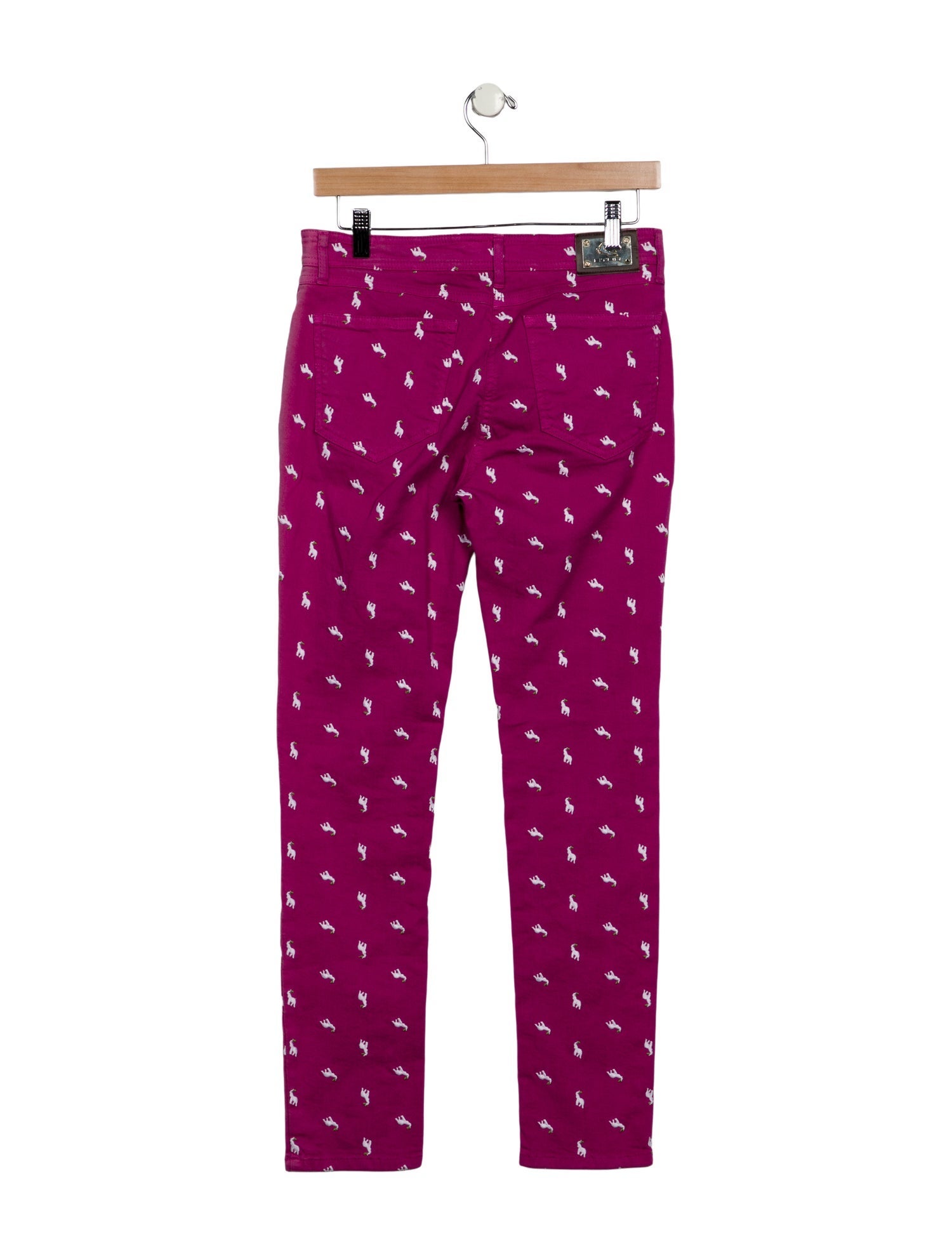 Etro Printed Skinny Leg Pants