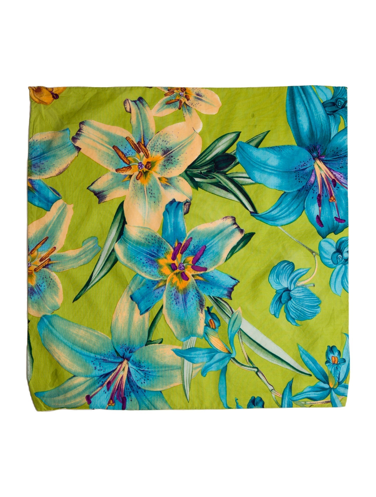 Etro Floral Print Scarf