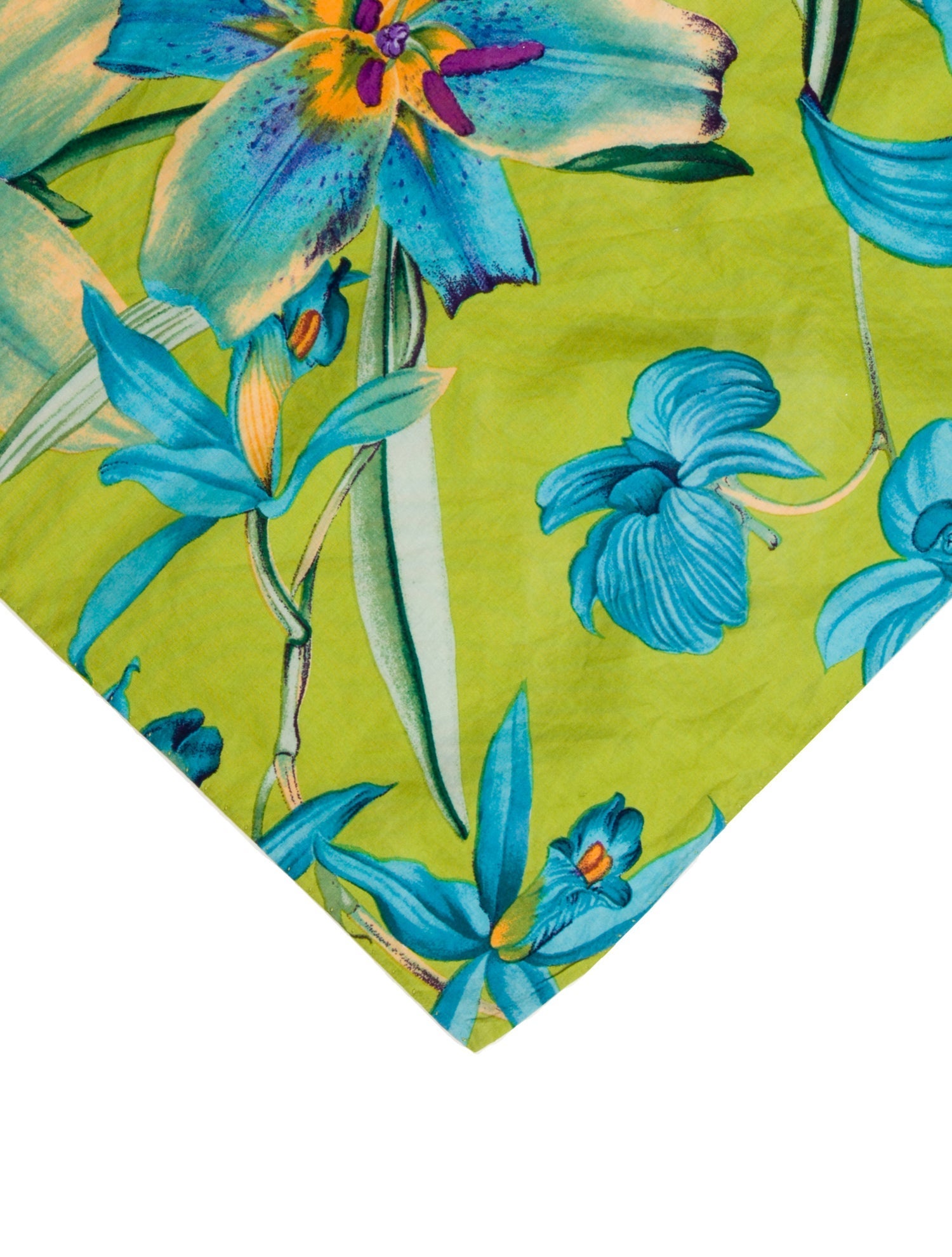 Etro Floral Print Scarf