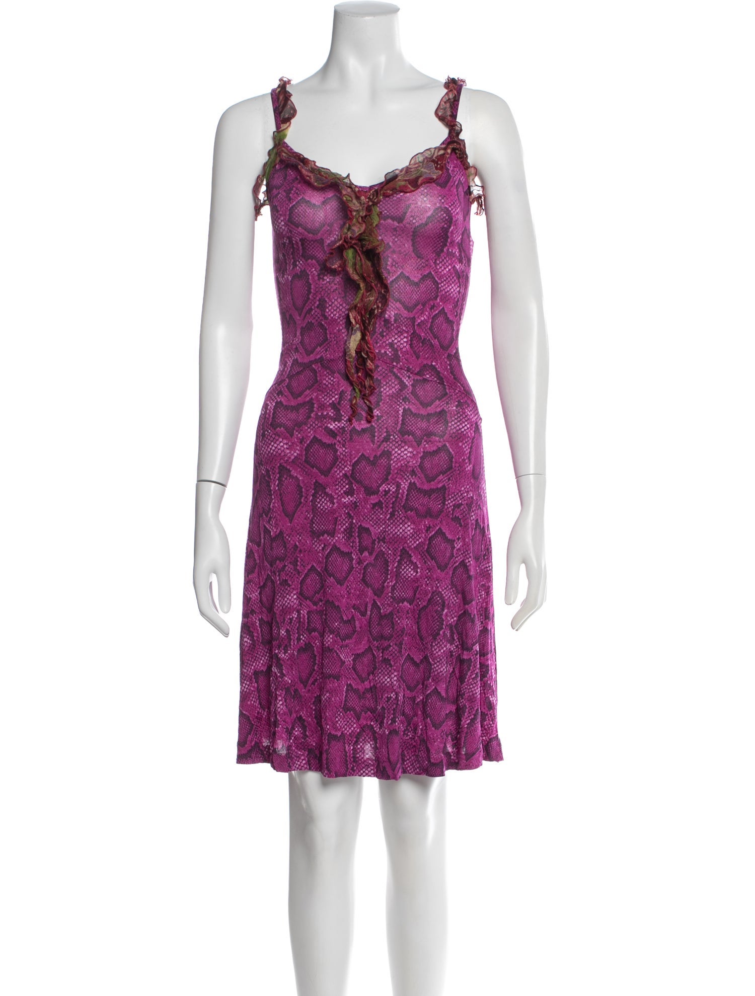 Etro Animal Print Mini Dress
