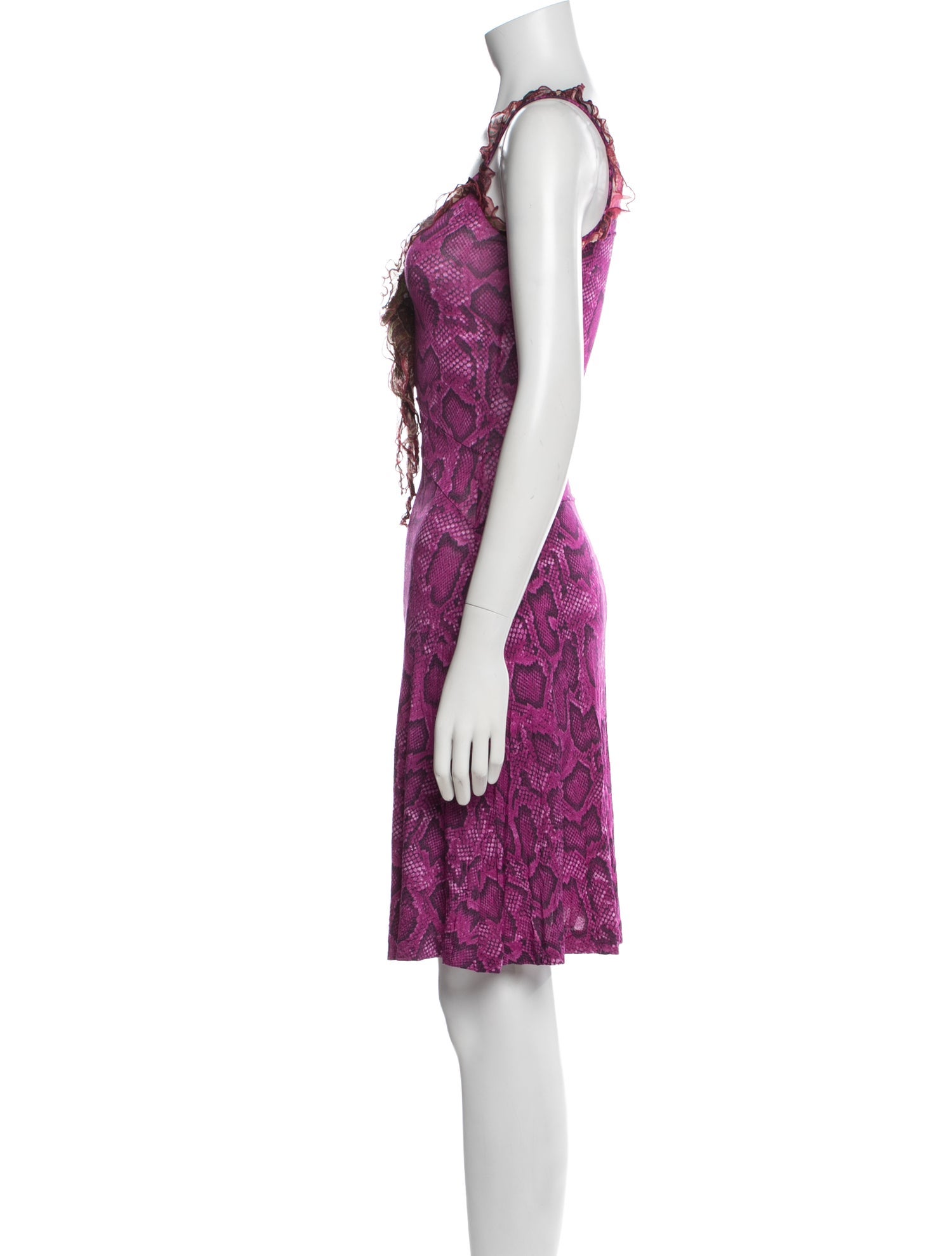 Etro Animal Print Mini Dress