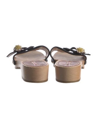 Fabrizio Viti Slides