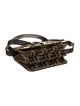 Fendi Zucca FF Tevere Mini