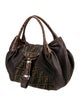 Fendi Zucca FF Spy