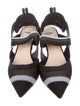 Fendi Mesh Printed Slingback Pumps