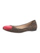 Fendi Zucca FF Logo Canvas Ballet Flats