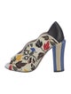 Fendi Canvas Floral Print Pumps