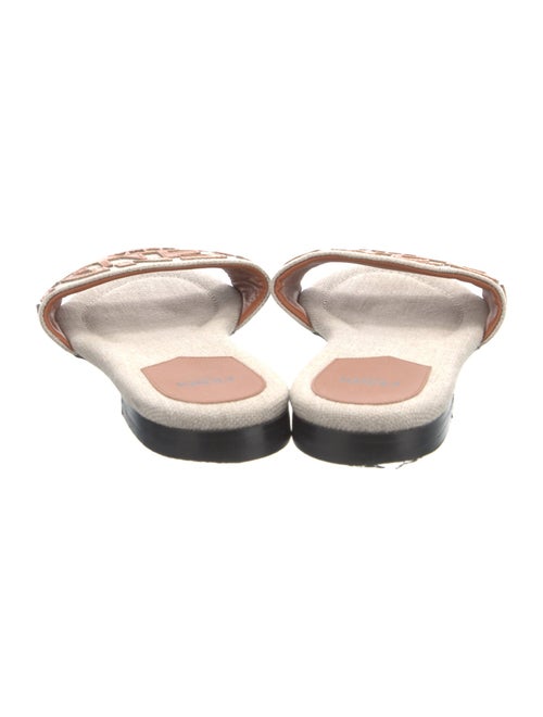 Fendi Canvas Printed Slides