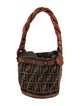 Fendi Zucca FF Bucket Bag