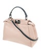Fendi Leather Peekaboo Mini